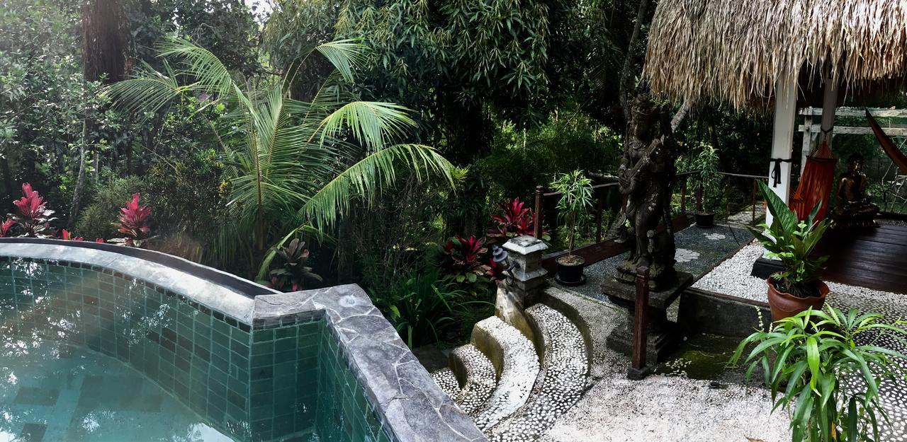 B&B Home Stay Griya Jungutan Ubud Zewnętrze zdjęcie