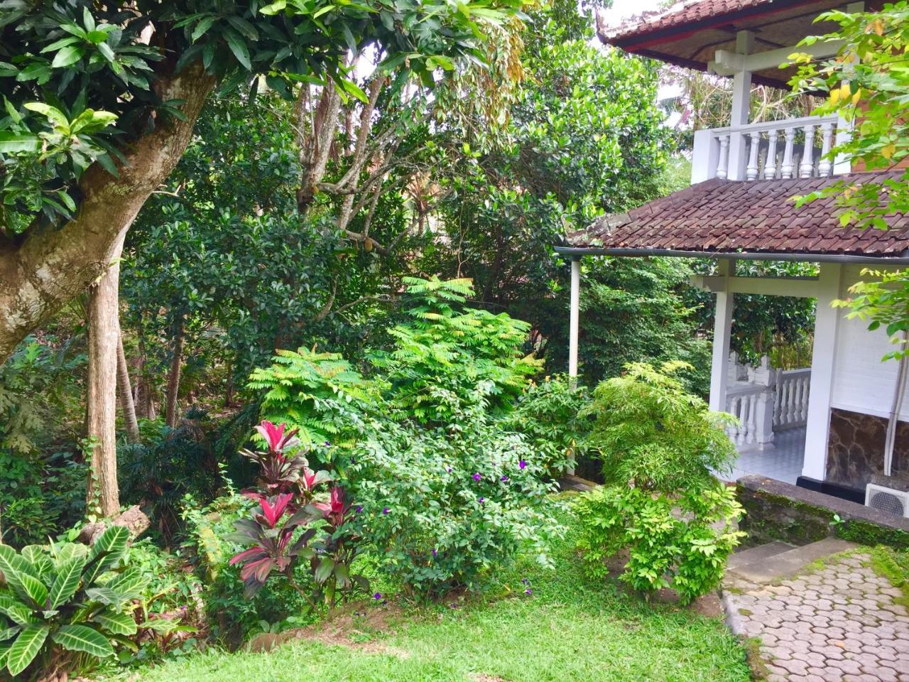 B&B Home Stay Griya Jungutan Ubud Zewnętrze zdjęcie