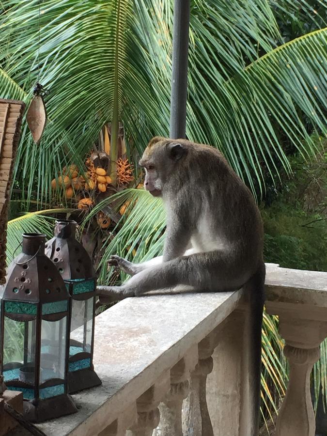 B&B Home Stay Griya Jungutan Ubud Zewnętrze zdjęcie